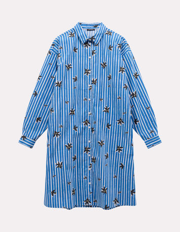 RAYOL - Robe chemise bleue imprim&eacute; rayures printani&egrave;res-1